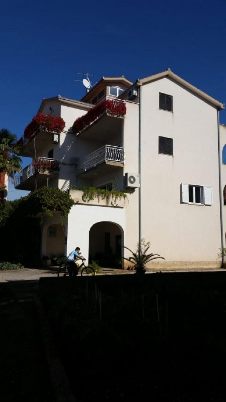 Biserka - 50 M From